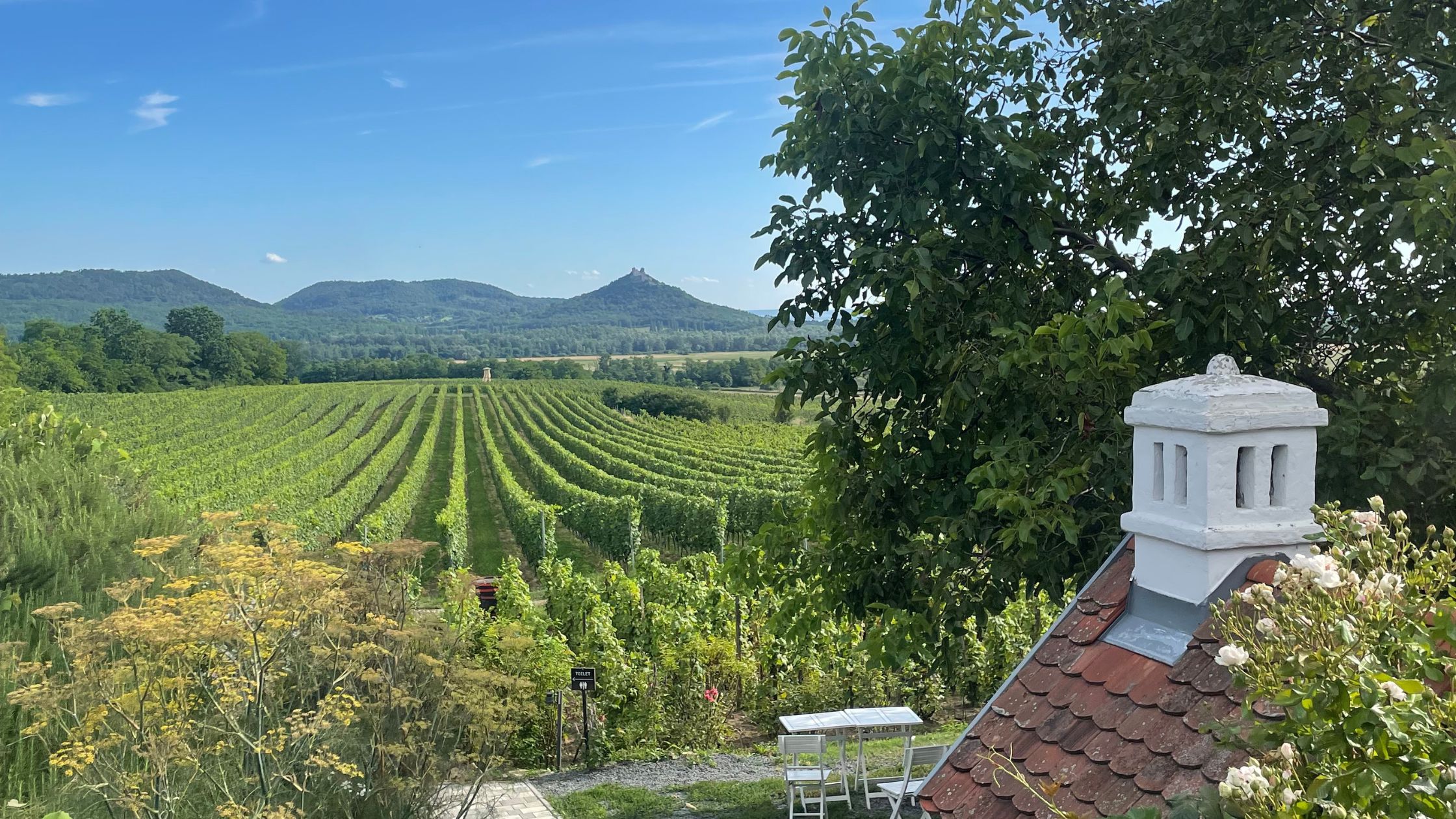 Control4 - Decades of Smart - S3 Europe